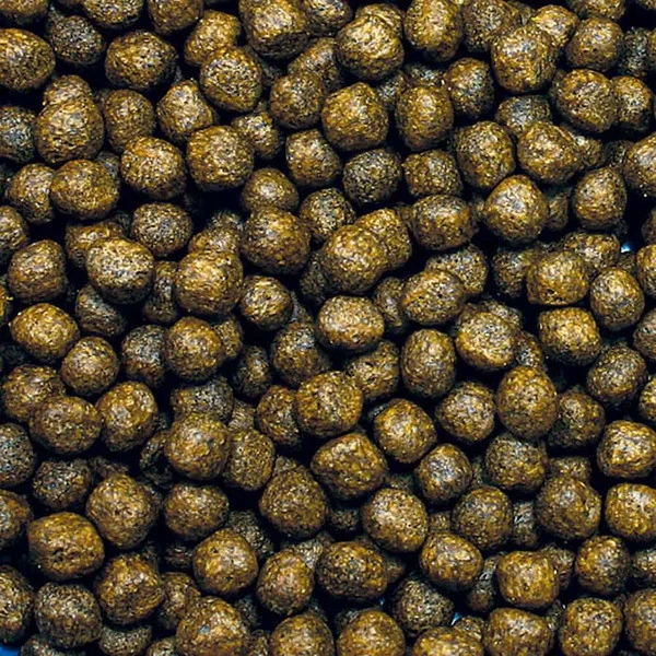 Hikari Cichlid Bio-Gold+ Pellets - Mini - 8.8 Oz. 2 Hikari Cichlid Bio-Gold+ Pellets - Mini - 8.8 Oz. - Image 2