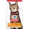 Feline Adult Cat Food - Light - 4 Lb.