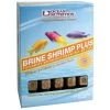 Brine Shrimp Plus - Cubes - 7 Oz. - Frozen