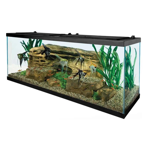55 Gallon Aquarium - Black - 48 In. X 13 In. X 20 In. 2 55 Gallon Aquarium - Black - 48 In. X 13 In. X 20 In. - Image 2