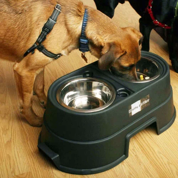 Healthy Pet Diner - Black - 8 Inch 2 Healthy Pet Diner - Black - 8 Inch - Image 2