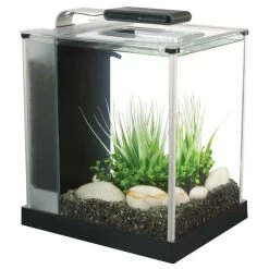 Fluval Spec III Aquarium Kit - 2.6 Gal. - Black