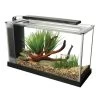 Fluval Spec V Aquarium Kit - 5 Gal. - Black