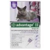 Advantage II Large Cat Over 9lbs - 6 Pack Purple