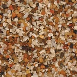 African Cichlid Mix Ivory Coast - 20 Lb.