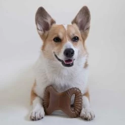 Benebone Dental Chew - Bacon - Regular 7 Benebone Dental Chew - Bacon - Regular -Animal Supplies Store 274393 4