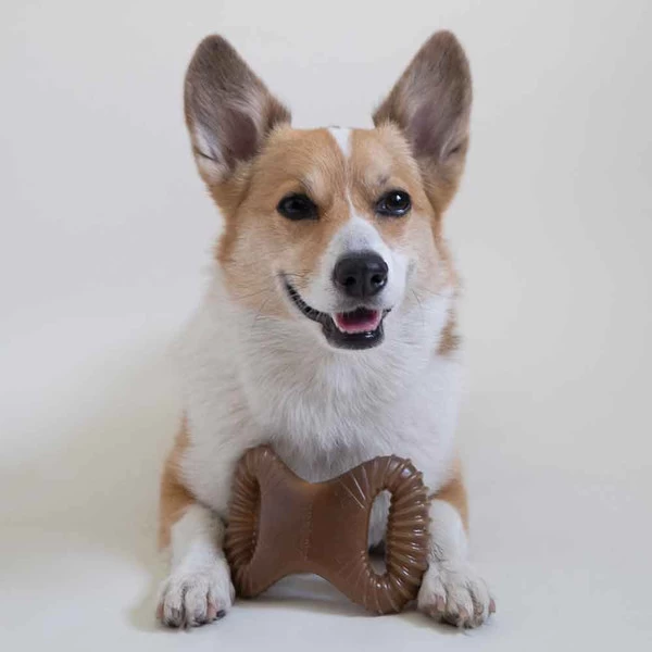 Benebone Dental Chew - Bacon - Regular 4 Benebone Dental Chew - Bacon - Regular - Image 4