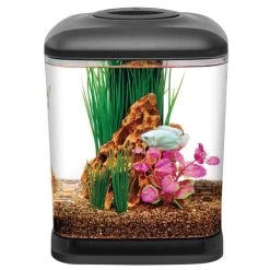 Aqueon - LED Mini Cube Aquarium Kit - 1.6 Gal
