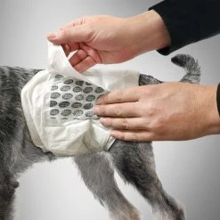 Simple Solution Disposable Male Wrap - Large -Animal Supplies Store 280176 3