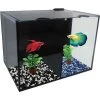 Betta Duo Compartment Aquarium - 5.3 Gal