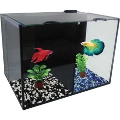 Betta Duo Compartment Aquarium - 5.3 Gal