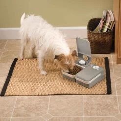 Petsafe Programmable Digital Two Meal Feeder