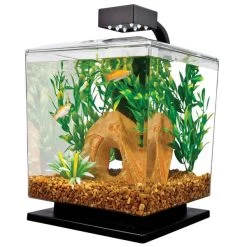Tetra - LED Aquarium Kit - Black - 1.5 Gal