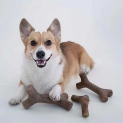 Benebone - Bacon Stick - Medium -Animal Supplies Store 287664 4