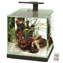 Aqueon Edgelit Rimless Cube - 6 Gallon