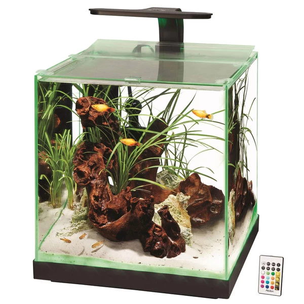 Aqueon Edgelit Rimless Cube - 6 Gallon 1 Aqueon Edgelit Rimless Cube - 6 Gallon