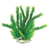 Aquatop Plant - Green Cabomba - 20 In