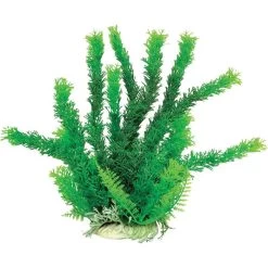 Aquatop Plant - Green Cabomba - 16 In