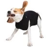 Suitical Black Recovery Suit - Dog - Small +