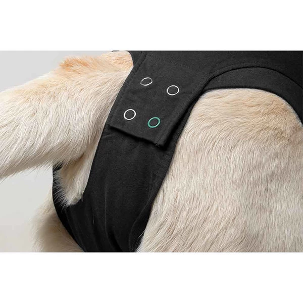 Suitical Black Recovery Suit - Dog - Small + 6 Suitical Black Recovery Suit - Dog - Small + - Image 6