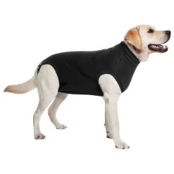 Suitical Black Recovery Suit - Dog - Large