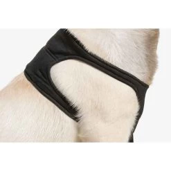 Suitical Black Recovery Sleeve - Medium -Animal Supplies Store 289867 5