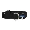 Martingale Dog Collar - Black Keystone - 2 In. XXL