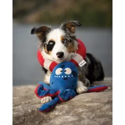 Bulltug - Tugtopus The Lifeguard 2 Pc. Toy 6 Bulltug - Tugtopus The Lifeguard 2 Pc. Toy -Animal Supplies Store 291159 3