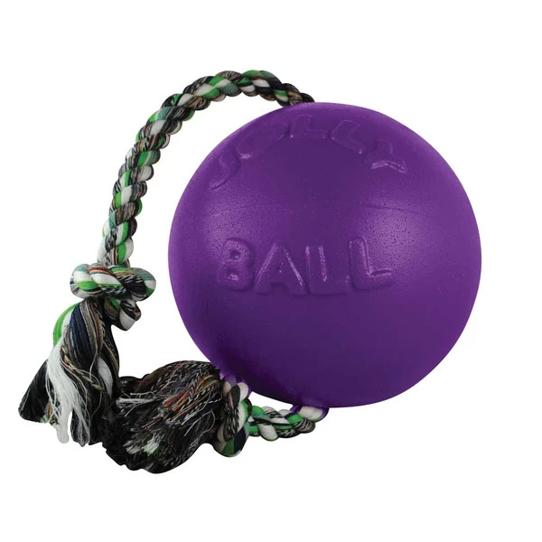 Jolly Pets Dog Toy - Romp-N-Roll Ball - Purple - Md 1 Jolly Pets Dog Toy - Romp-N-Roll Ball - Purple - Md