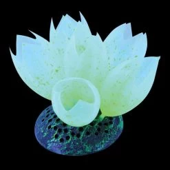 Underwater Treasures - Glow Action Bubbler - Sea Squirts - Green