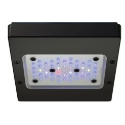 Eco Tech - Radion XR15 G6 Blue LED Light