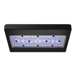EcoTech - Radion XR30 G6 Blue LED Light