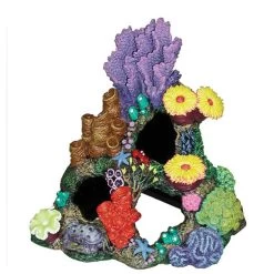 Blue Ribbon - Indonesian Reef Cavern - Corner