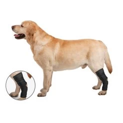 ZenWraps - Back Leg Hock Protector - Lg