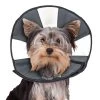 ZenCone - Soft Recovery Collar W Windows - Sm