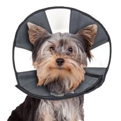 ZenCone - Soft Recovery Collar W Windows - Sm