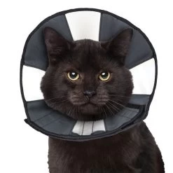 ZenCone - Soft Recovery Collar W Windows - Sm -Animal Supplies Store 296773 4