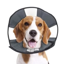 ZenCone - Soft Recovery Collar W Windows - Md
