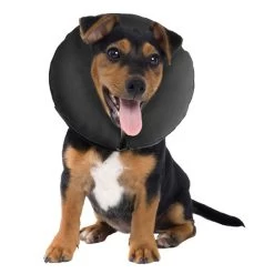 ZenCollar - Inflatable Recovery Collar - XS