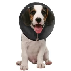 ZenCollar - Inflatable Recovery Collar - Sm