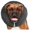 ZenCollar - Inflatable Recovery Collar - Lg